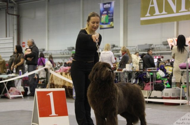 Фотография № 112823