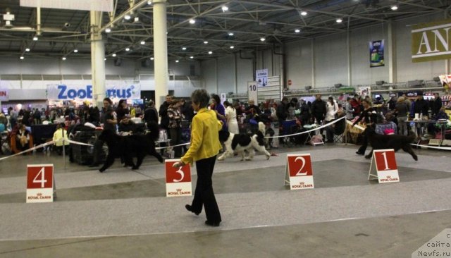 Фотография № 112824