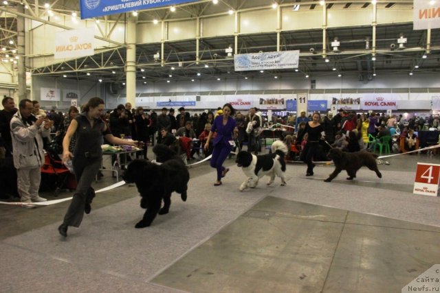 Фотография № 112825