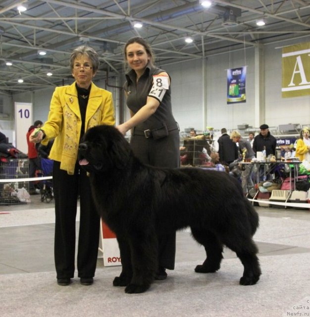 Фотография № 112826