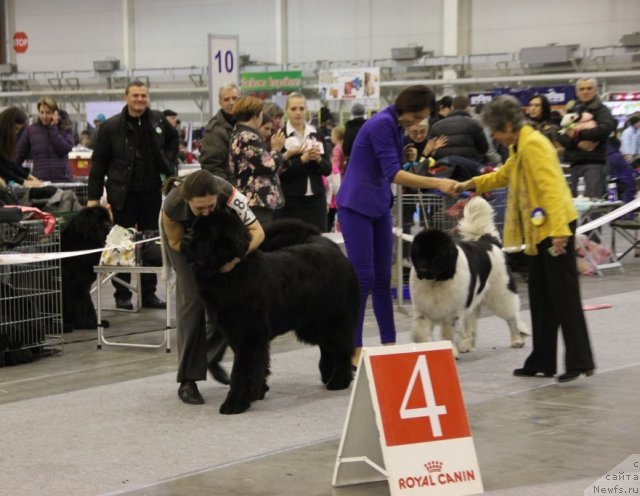 Фотография № 112827