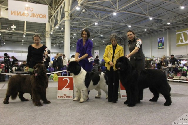 Фотография № 112828