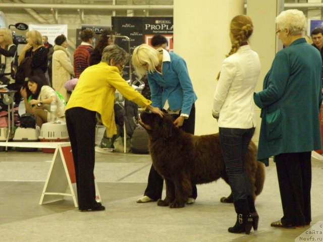 Фотография № 112829