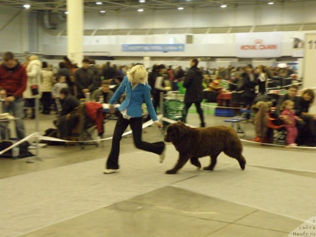 Фотография № 112830