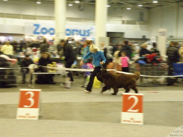 Фотография № 112831