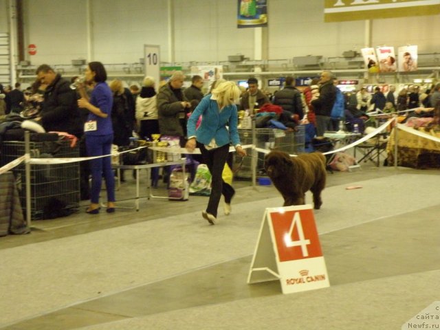 Фотография № 112832