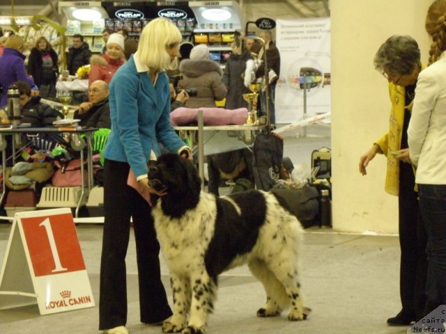 Фотография № 112833