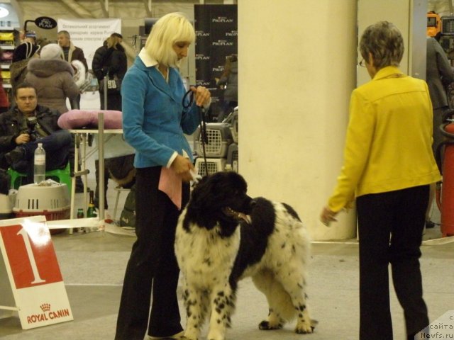 Фотография № 112837