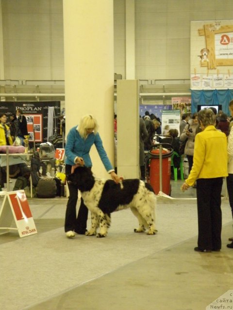 Фотография № 112838