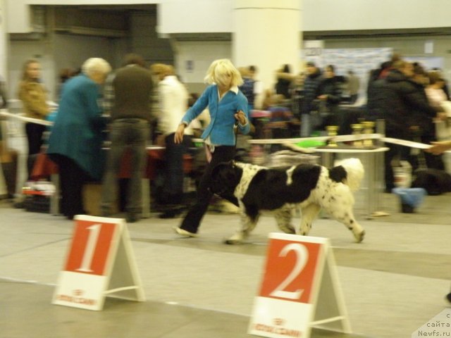 Фотография № 112839