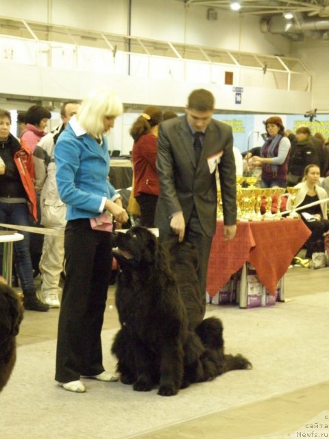 Фотография № 112840