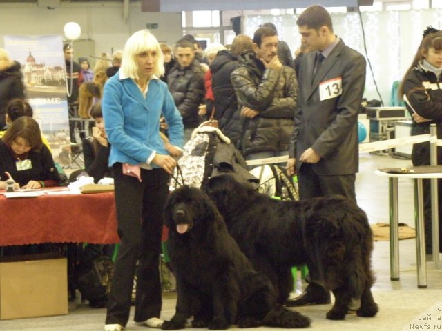 Фотография № 112841