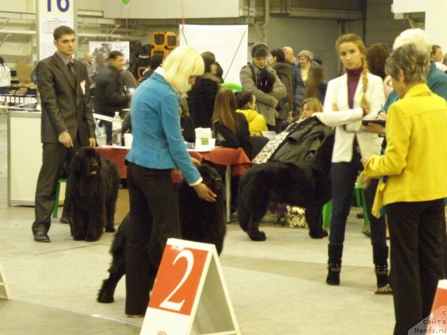 Фотография № 112842