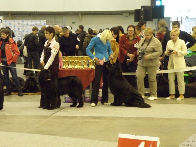 Фотография № 112843