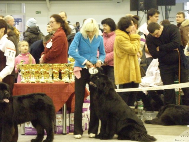 Фотография № 112844