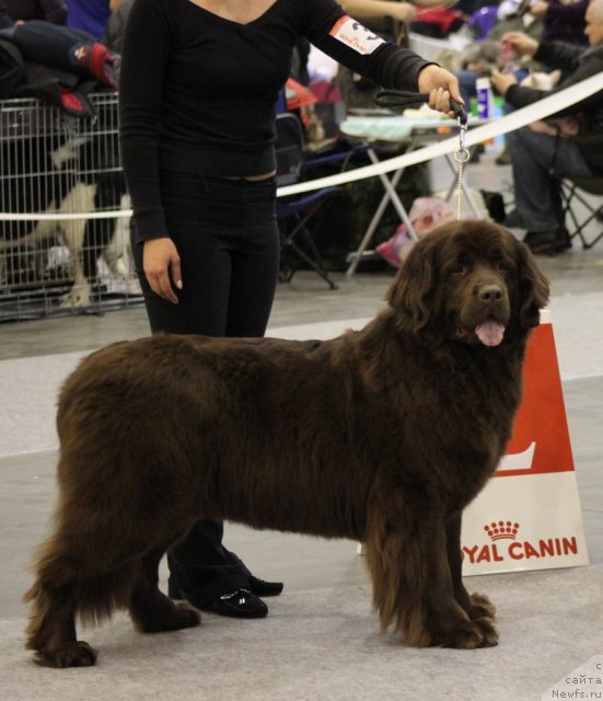 Фотография № 112846