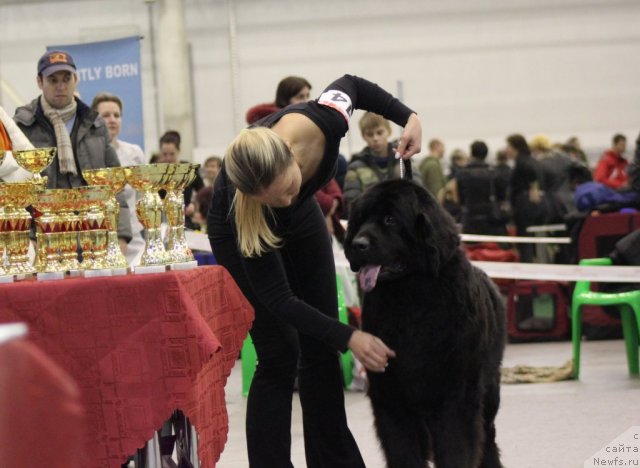 Фотография № 112848