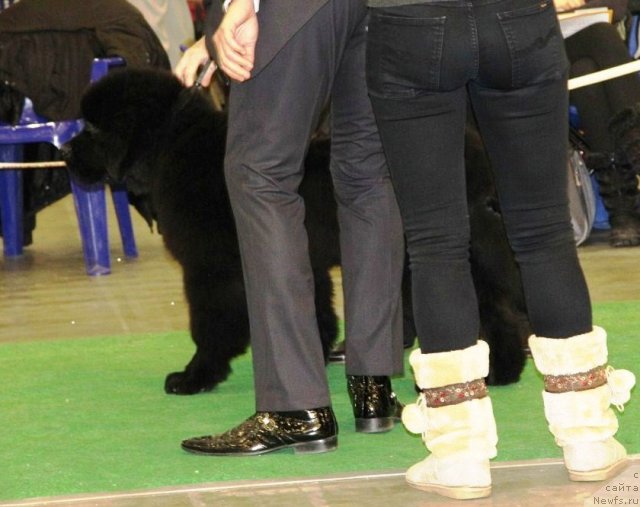 Фотография № 112868