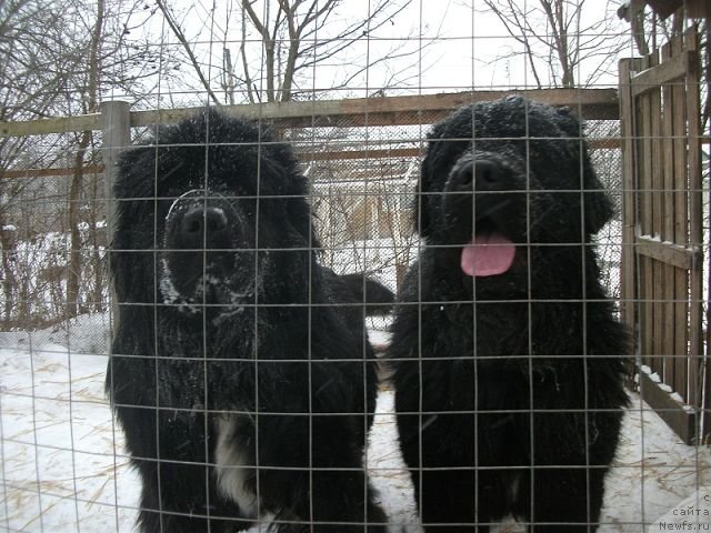 Фотография № 112870