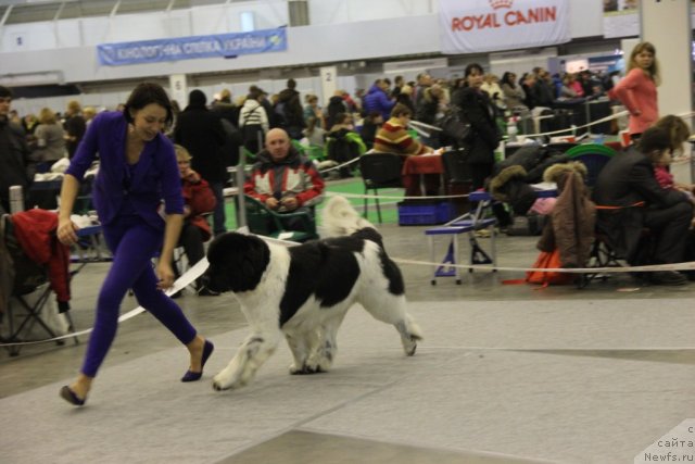 Фотография № 112880