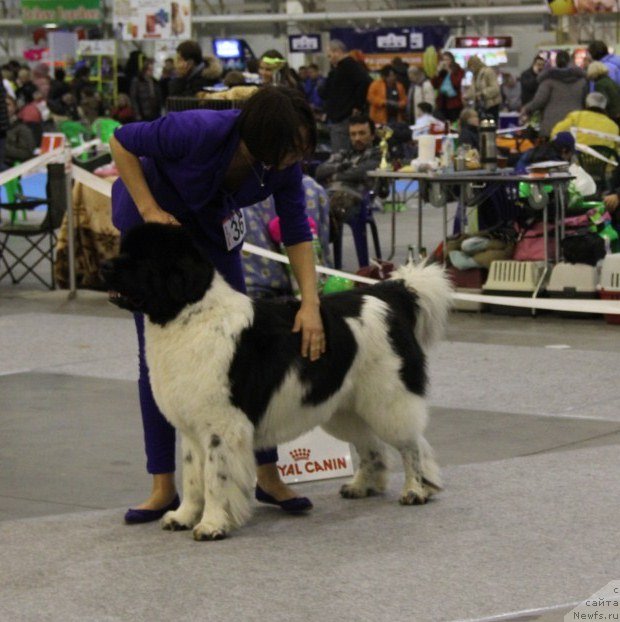 Фотография № 112881