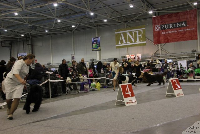 Фотография № 112884