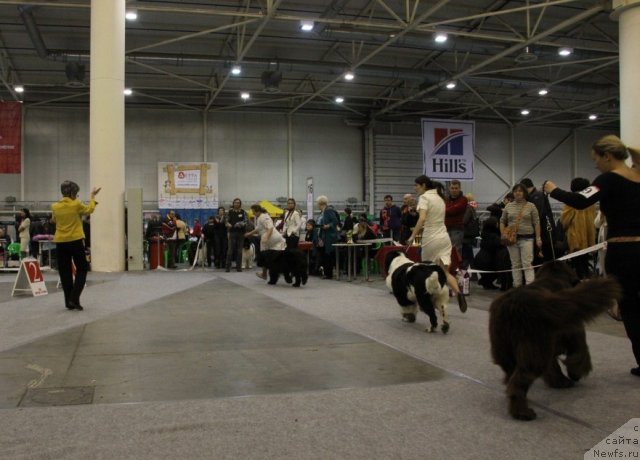 Фотография № 112885