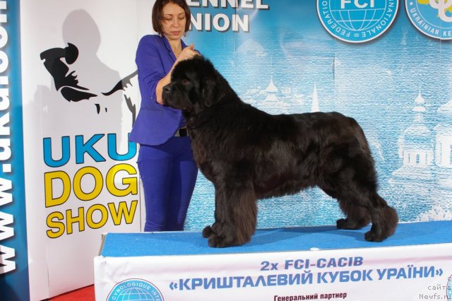 Фотография № 112921