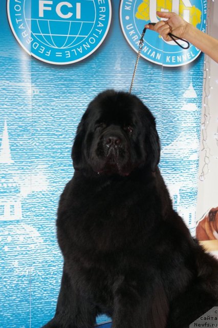 Фотография № 112925