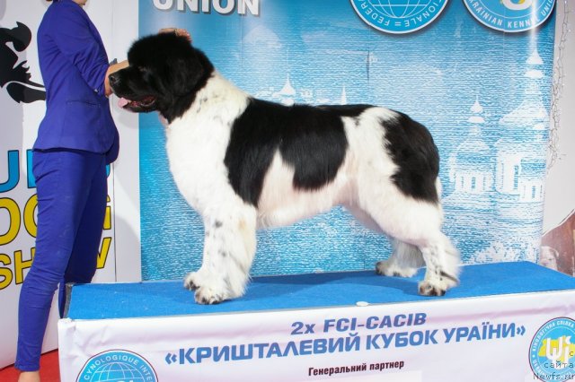 Фотография № 112926