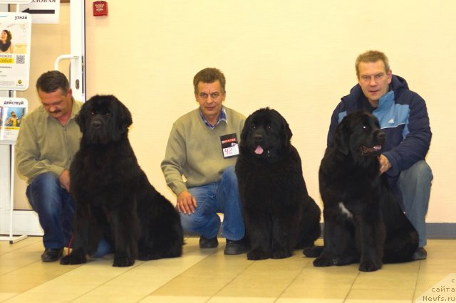 Фотография № 112933