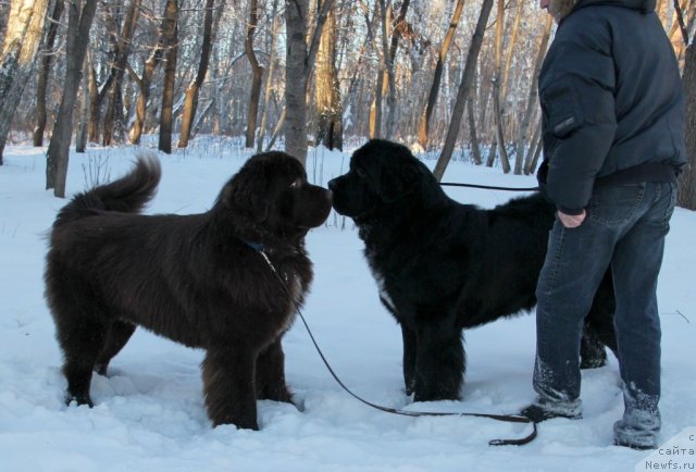 Фотография № 112935