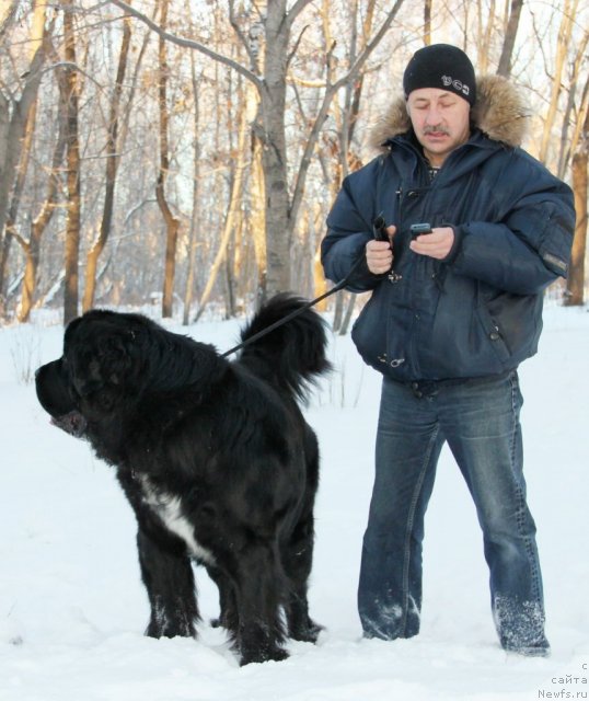 Фотография № 112937