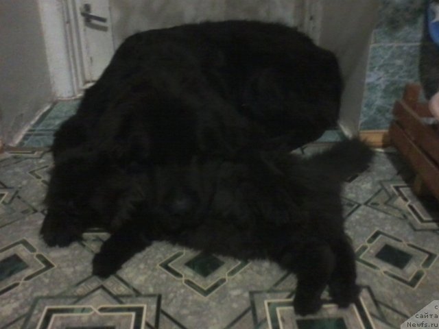 Фотография № 112946