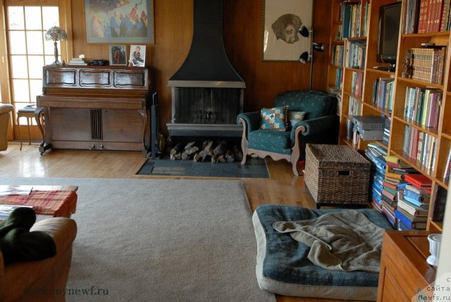 Фотография № 112959