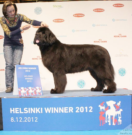 Фотография № 112960