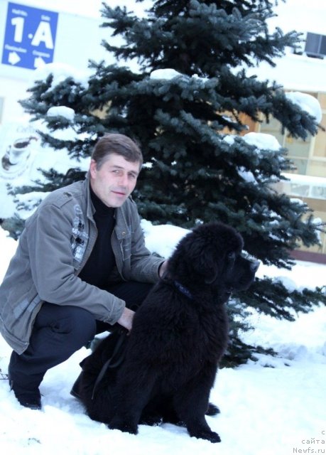 Фотография № 112975