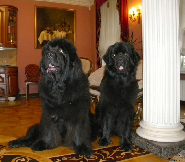 Фотография № 112976