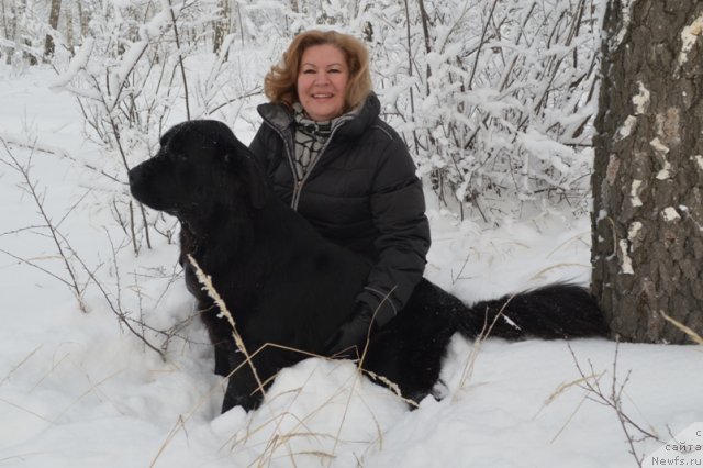 Фото: ньюфаундленд Аллегро Ассаи Луна, Светлана Ботова