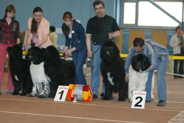 Фотография № 11301