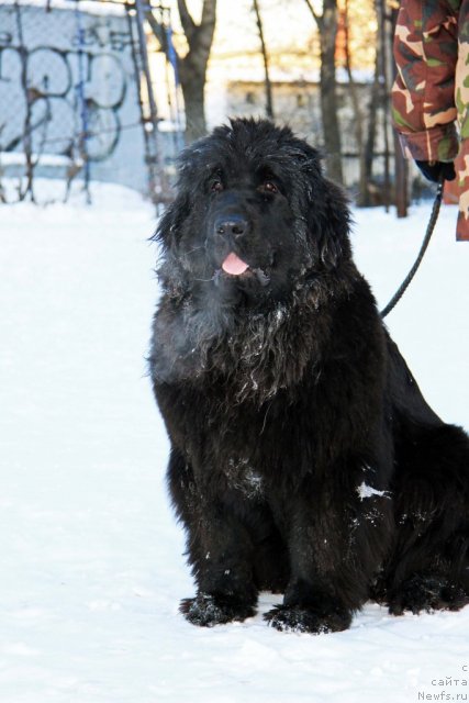 Фотография № 113012