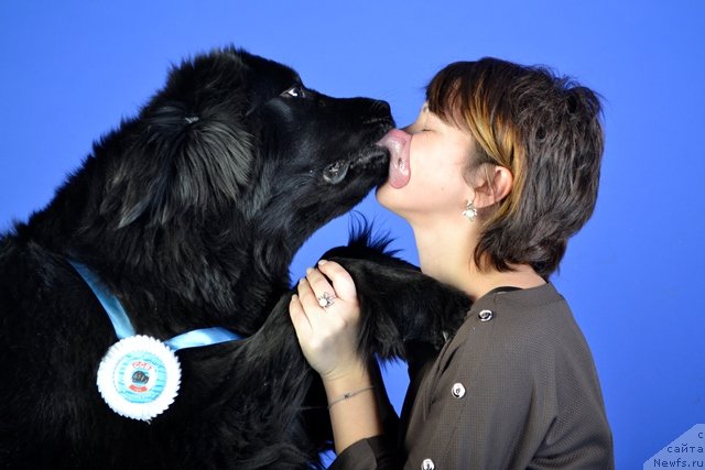 Фотография № 113025