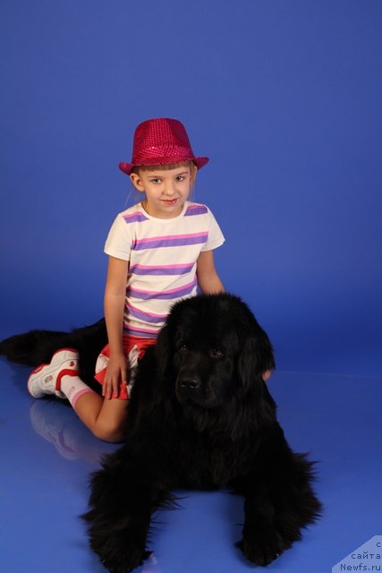 Фотография № 113028