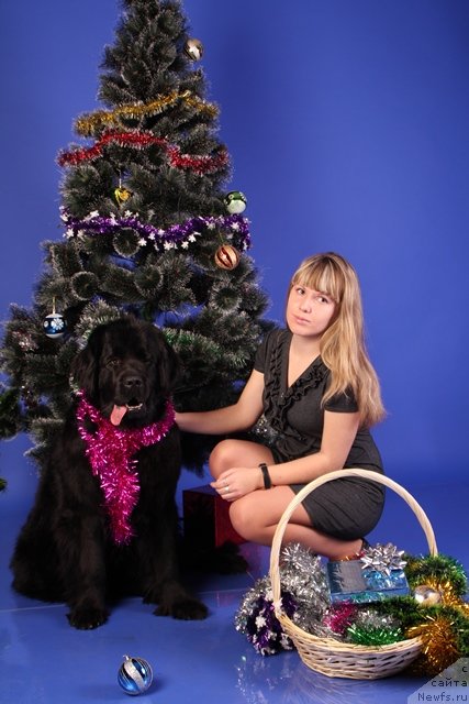 Фотография № 113031