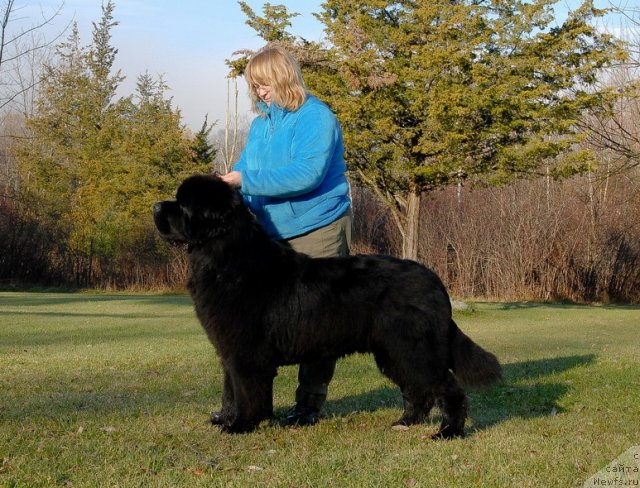 Фотография № 113045