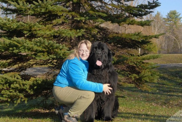 Фотография № 113056