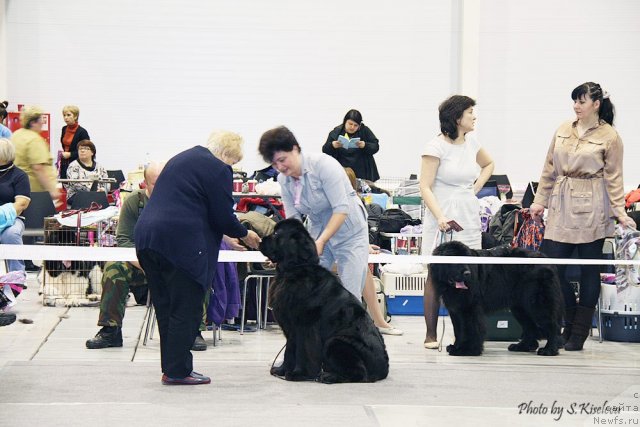 Фотография № 113064