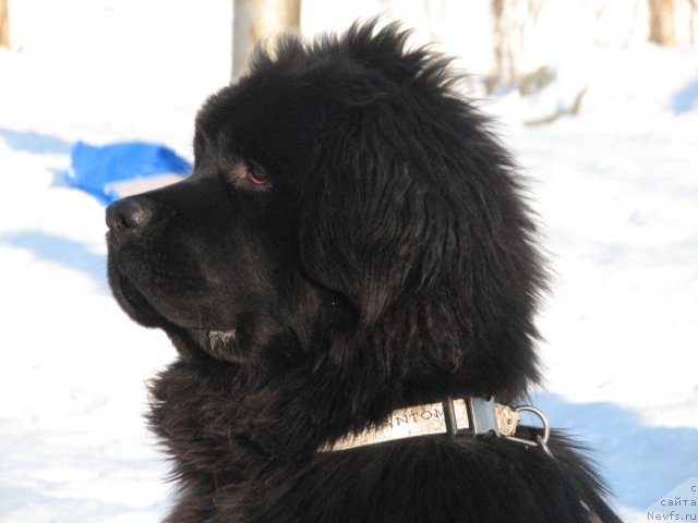 Фотография № 113067