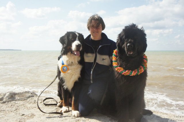 Фотография № 113070