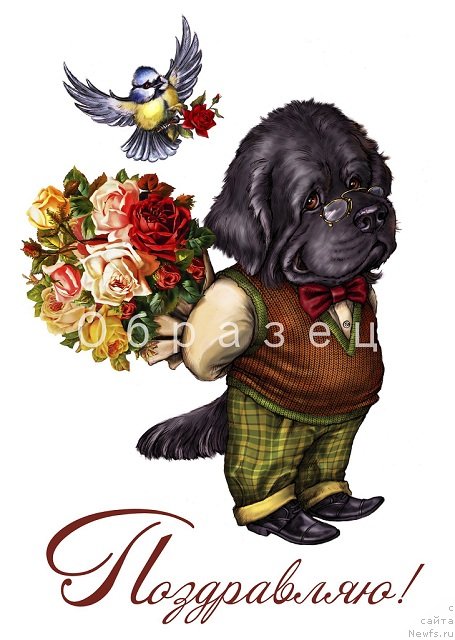 Фотография № 113079